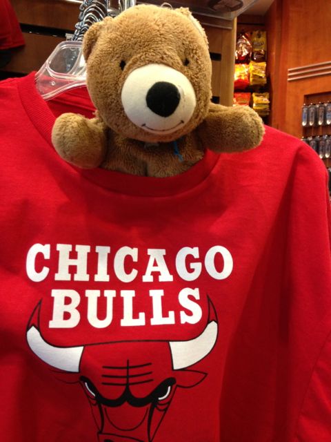 Teddy bear in Chicago airport gift shop