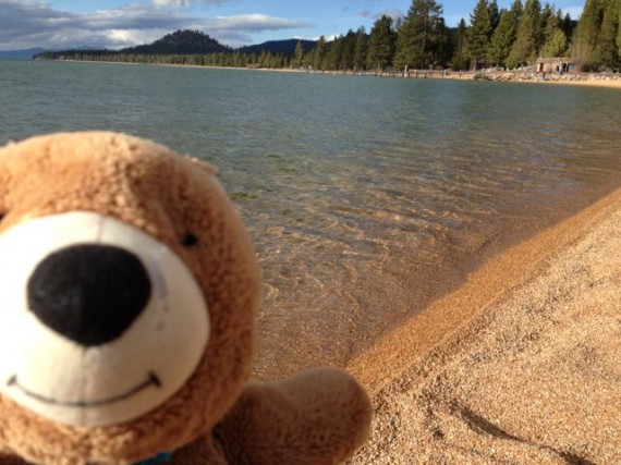 Lake Tahoe shore with Teddy Bear