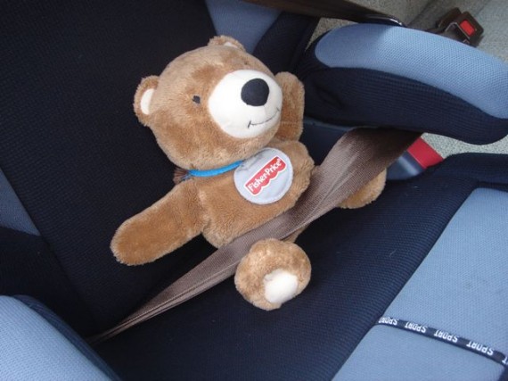 Teddy Bear using seat belt in child car seat
