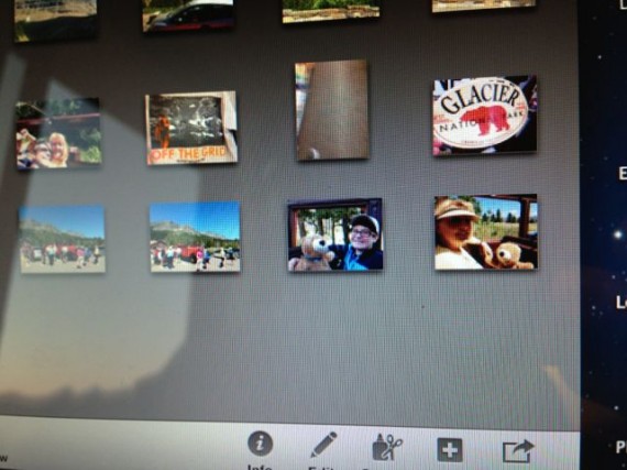 screen shot of iPhoto pictures