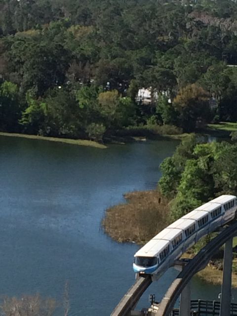 Disneys Monorail from very unique angle