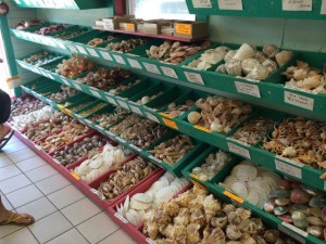 Boxes and boxes of sea shells for sale on Sanibel Island