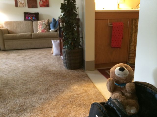 Teddy Bear in Assisted Living Apartment