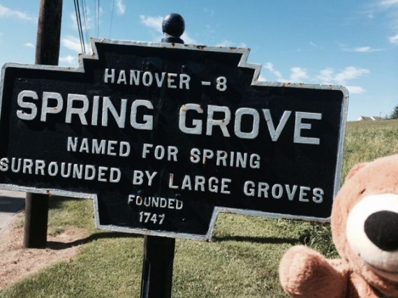 Jack the Bear at Spring Grove town sign