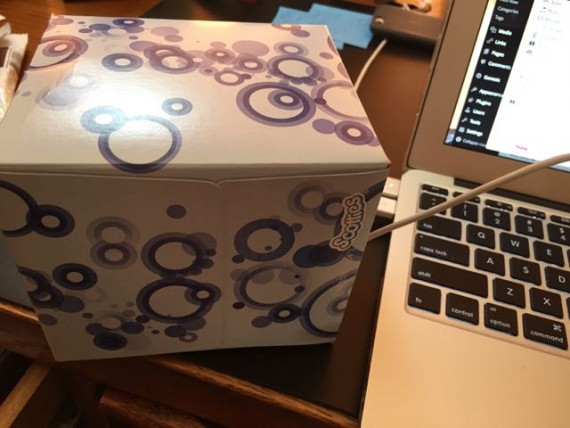 Hidden Mickey on tissue box