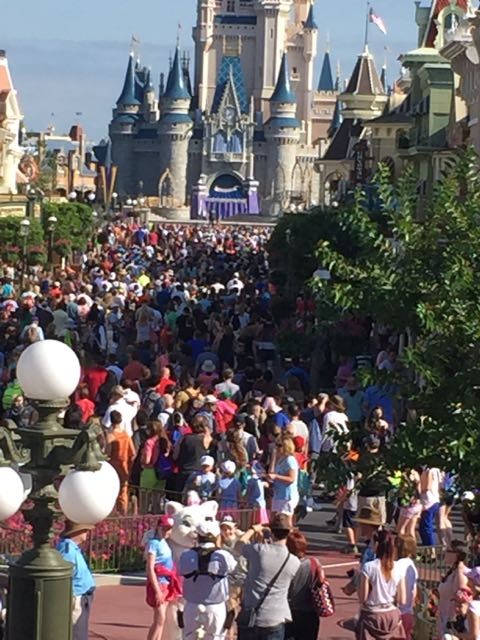 Disney's Magic Kingdom photo on a busy day