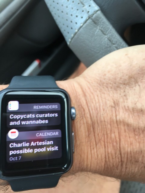 Apple Watch reminder app