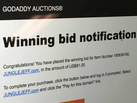 Domain name auction