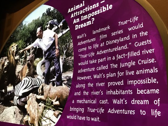 Disney's Jungle Cruise vision