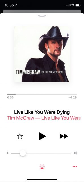 Tim McGraw song