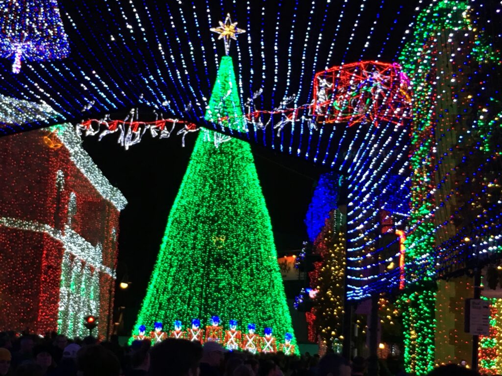 Disney Theme Park Christmas tree at night
