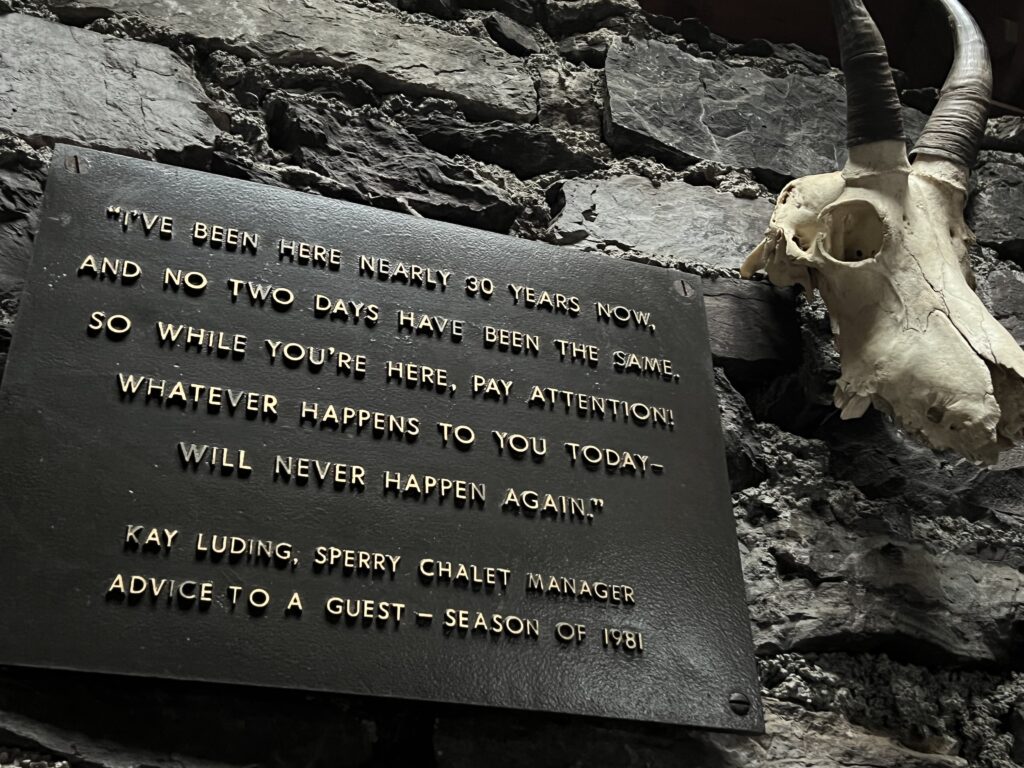 Backwoods quote on a bronze plaque