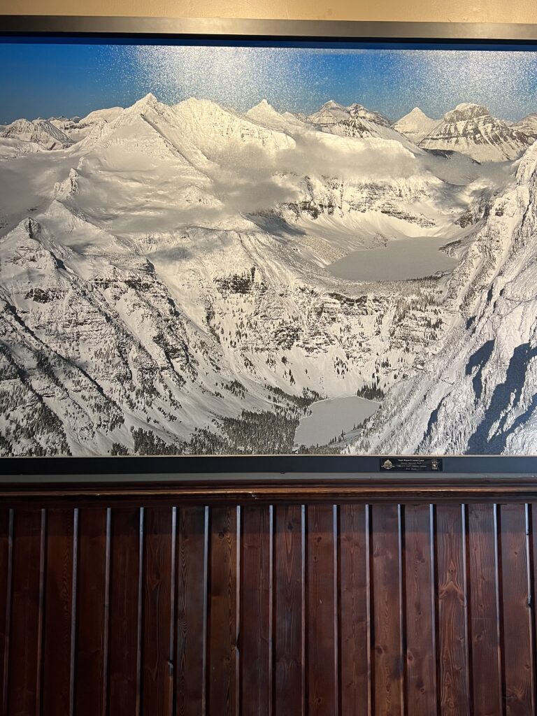 Large mounted wall photo of mountains in snow