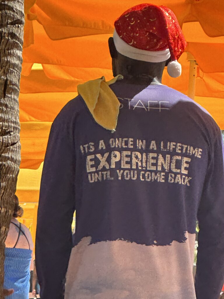 Man wearing t-shirt and Santa hat
