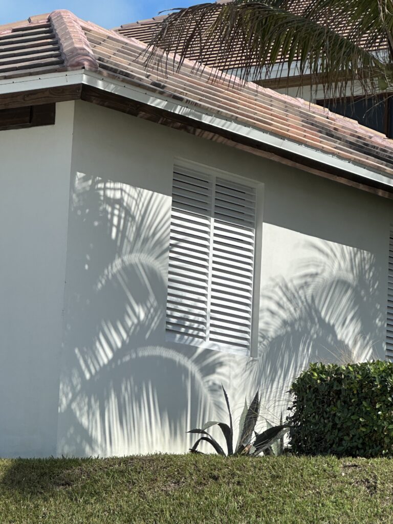 Palm tree shadow on wall