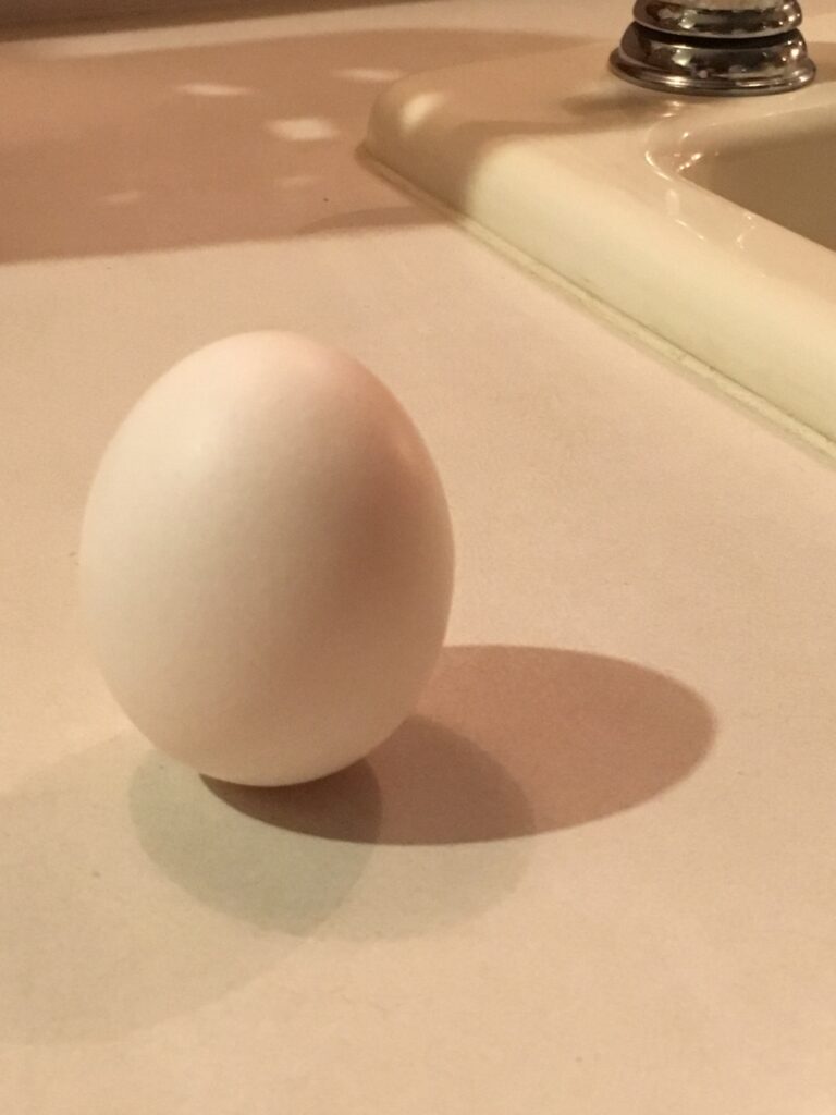 Egg standing upright on its own
