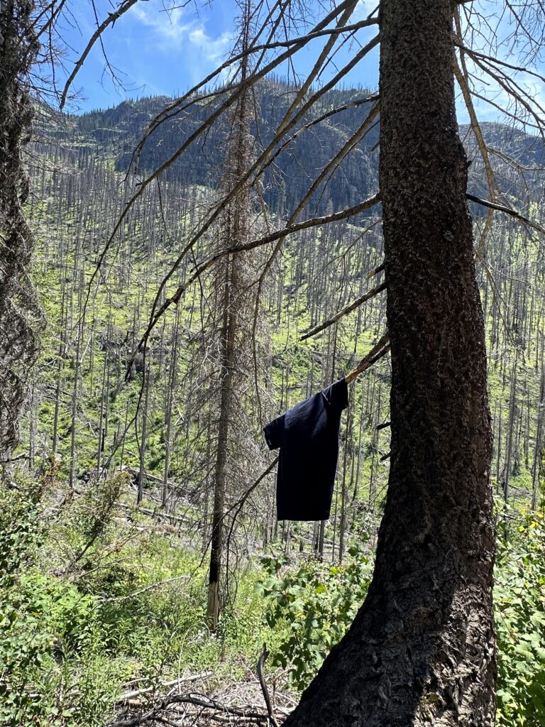 T-shirt hanging on a tree branch