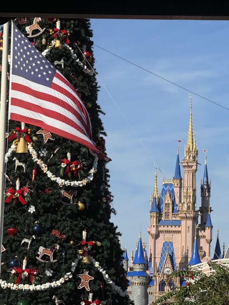 American flag, Christmas tree, Disney castle