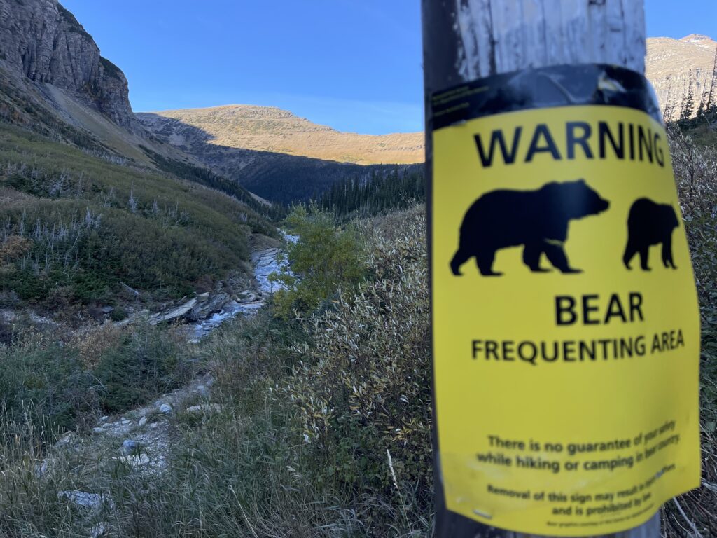 Beware of bear sign