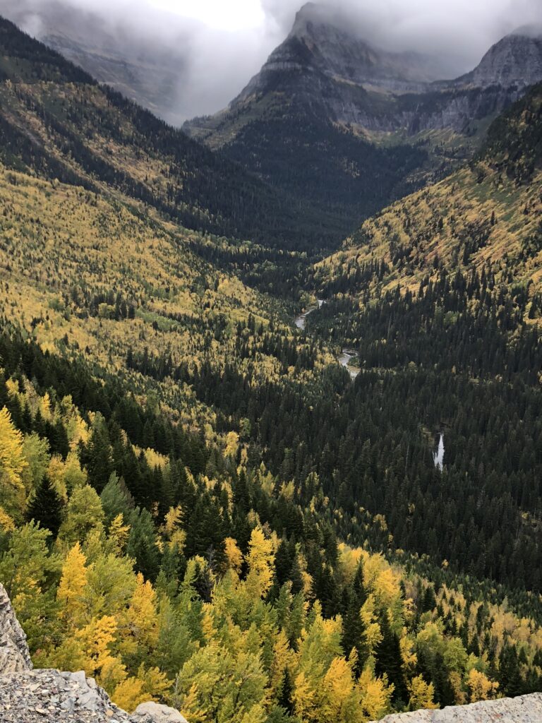 Rocky Mountain fall foliage