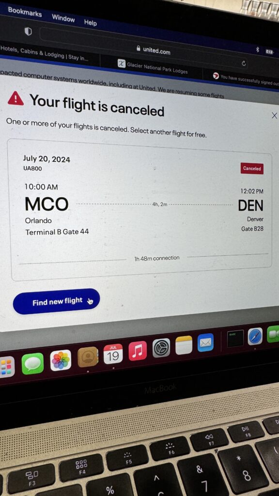 airline website flight status screen