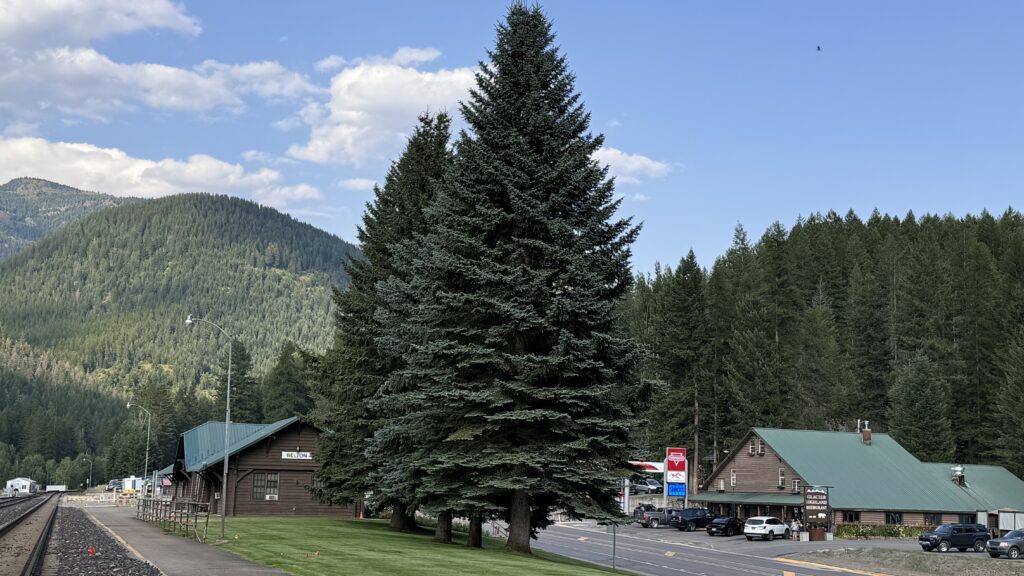 mountain train station