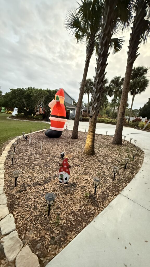 Homeowners yard and driveway