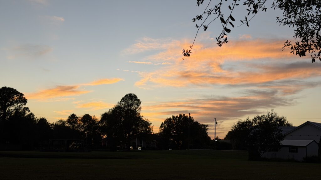 florida sunset from a backyard