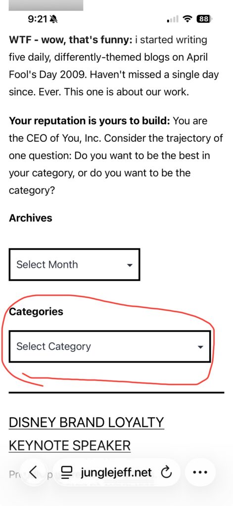 blog screenshot on iPhone