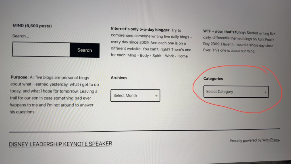 blog screenshot on Laptop