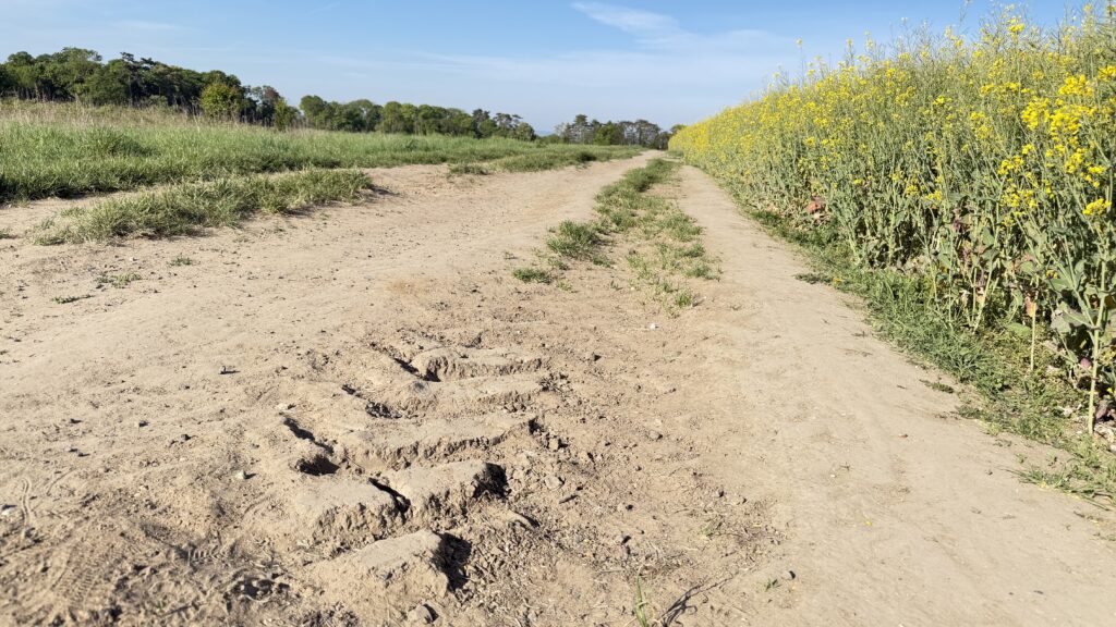 Tractor tire tracks in dirt