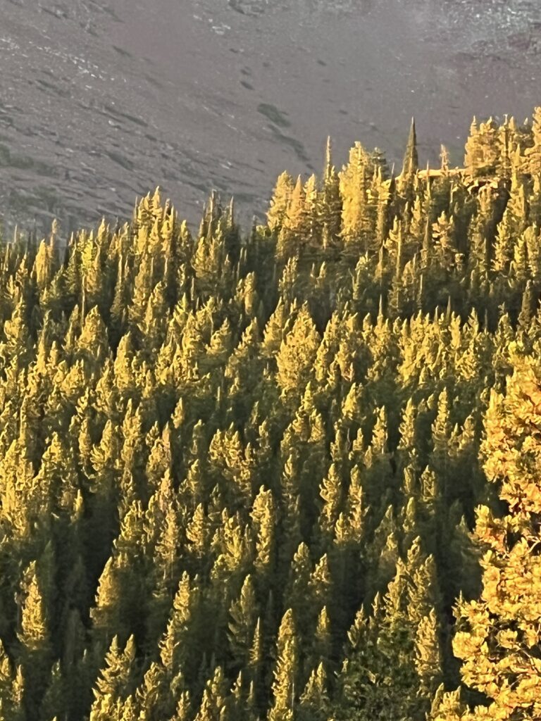 Glacier National Park