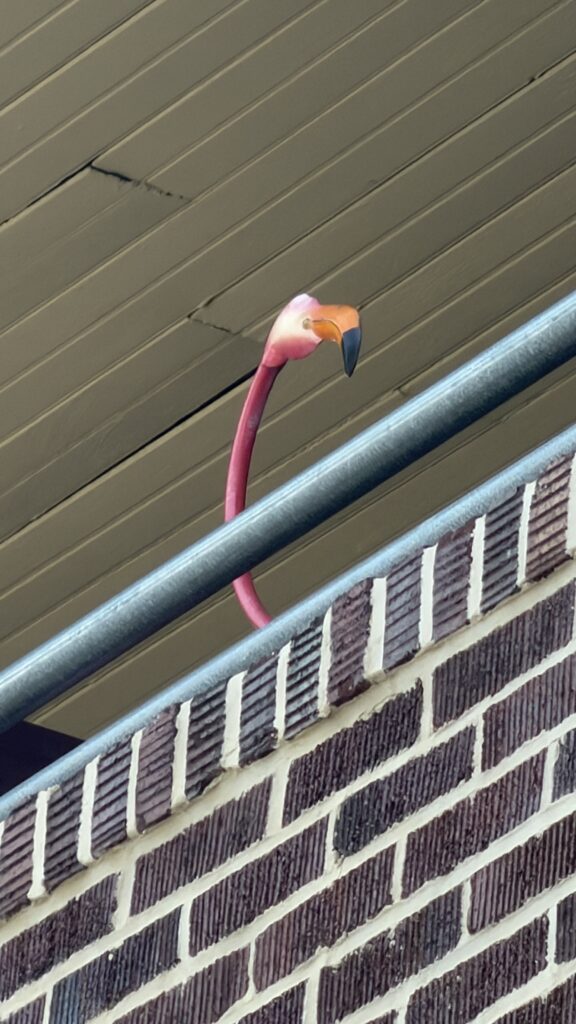 Life-size pink flamingo ornament on a porch